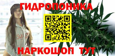 гашик Пыть-Ях