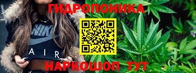гашик Пыть-Ях