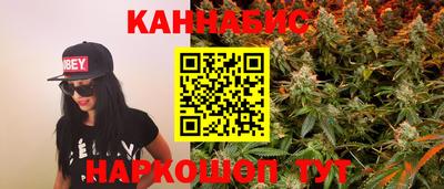 мдпв Пугачёв