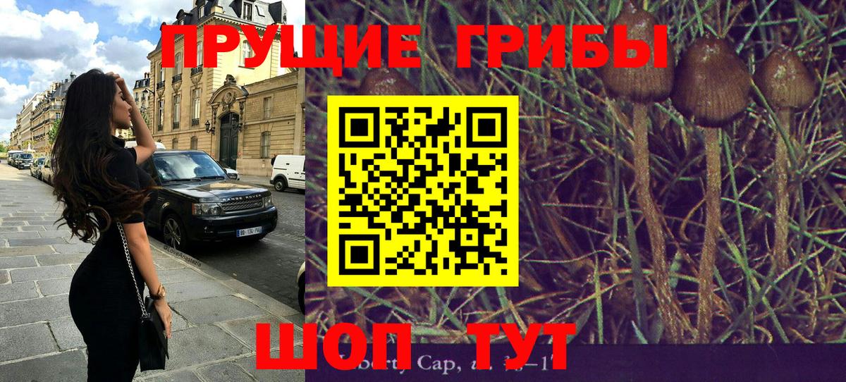 Родники  Псилоцибиновые грибы мухоморы  Вход с VPN 
